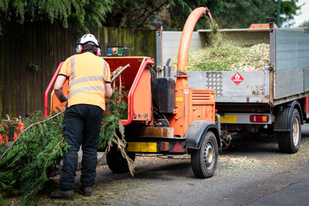 Best Utility Line Clearance  in Anderson Island, WA